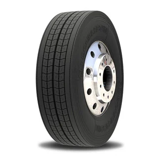 295/75R22.5/14 Double Coin TR100 TL