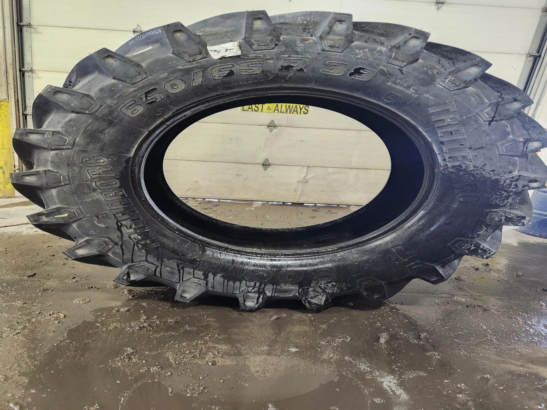 Take-off 650/65R38 166D Trelleborg TM800 TL 95-100% image 5
