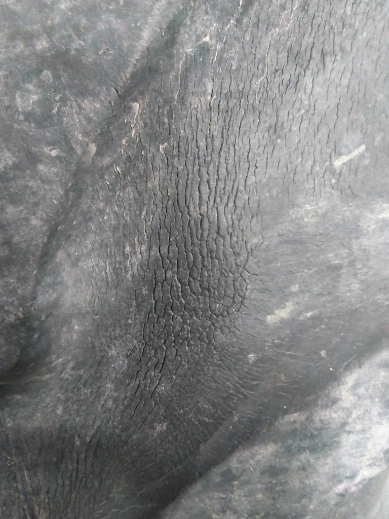 Used 420/85R34 147B Firestone All Traction DT TL R-1W 45-50% On 15 x 34 (12-16.732-14.620) Waffle 3 image 9