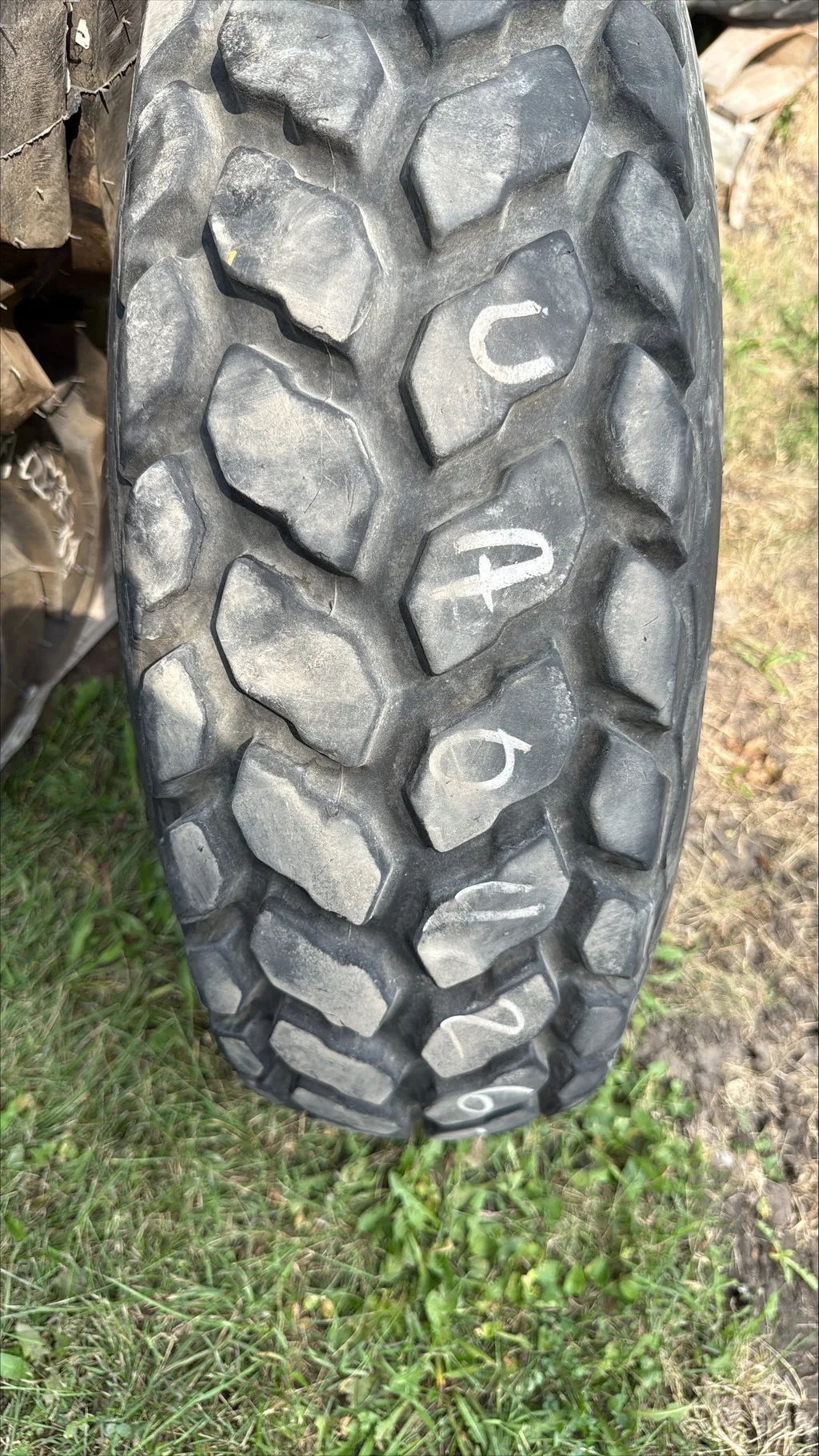 Used 21.5L-16.1 6-Ply Firestone Turf & Field TL R-3 90-95% On 16 x 16.1 8-8-6 9.125"BS Yellow Dual image 5