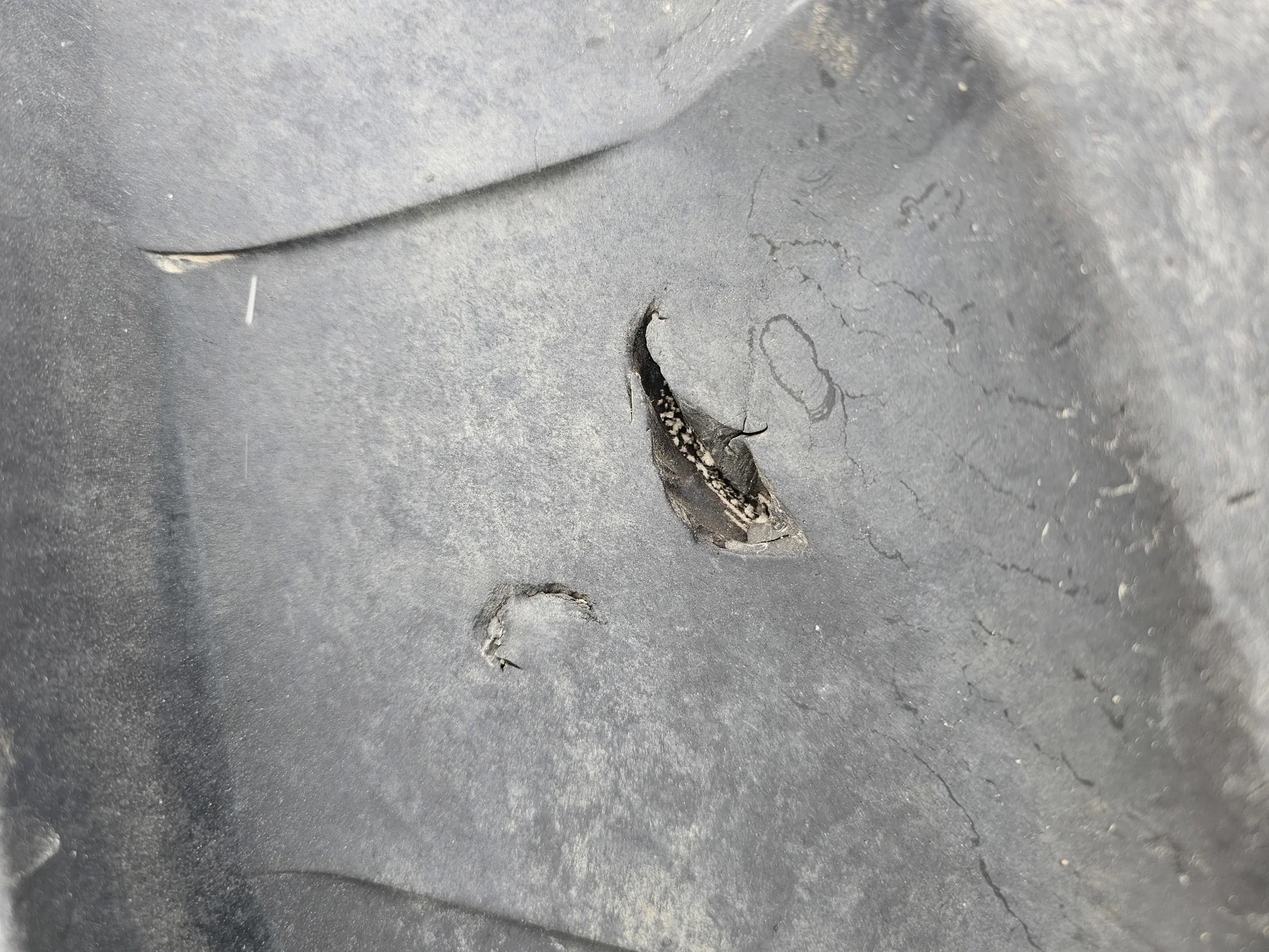Used 540/65R30 150D Trelleborg TM800 HS R1W 90% On 16 x 30 10-13.189-11.077 Fendt Red Formed Wheel image 6