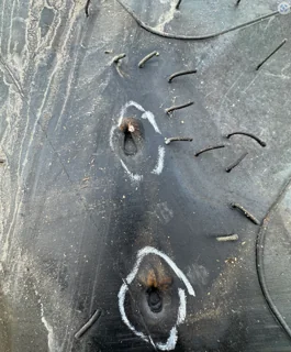 Take-Off LSW 650/70R46 Goodyear Optitrac (181D) TL mounted JD Yellow (12-15.748) 600 Series Sprayer image 4